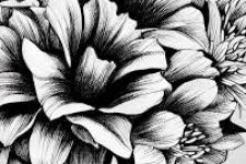 دوره طراحی گل با نقاشی سیاه قلم